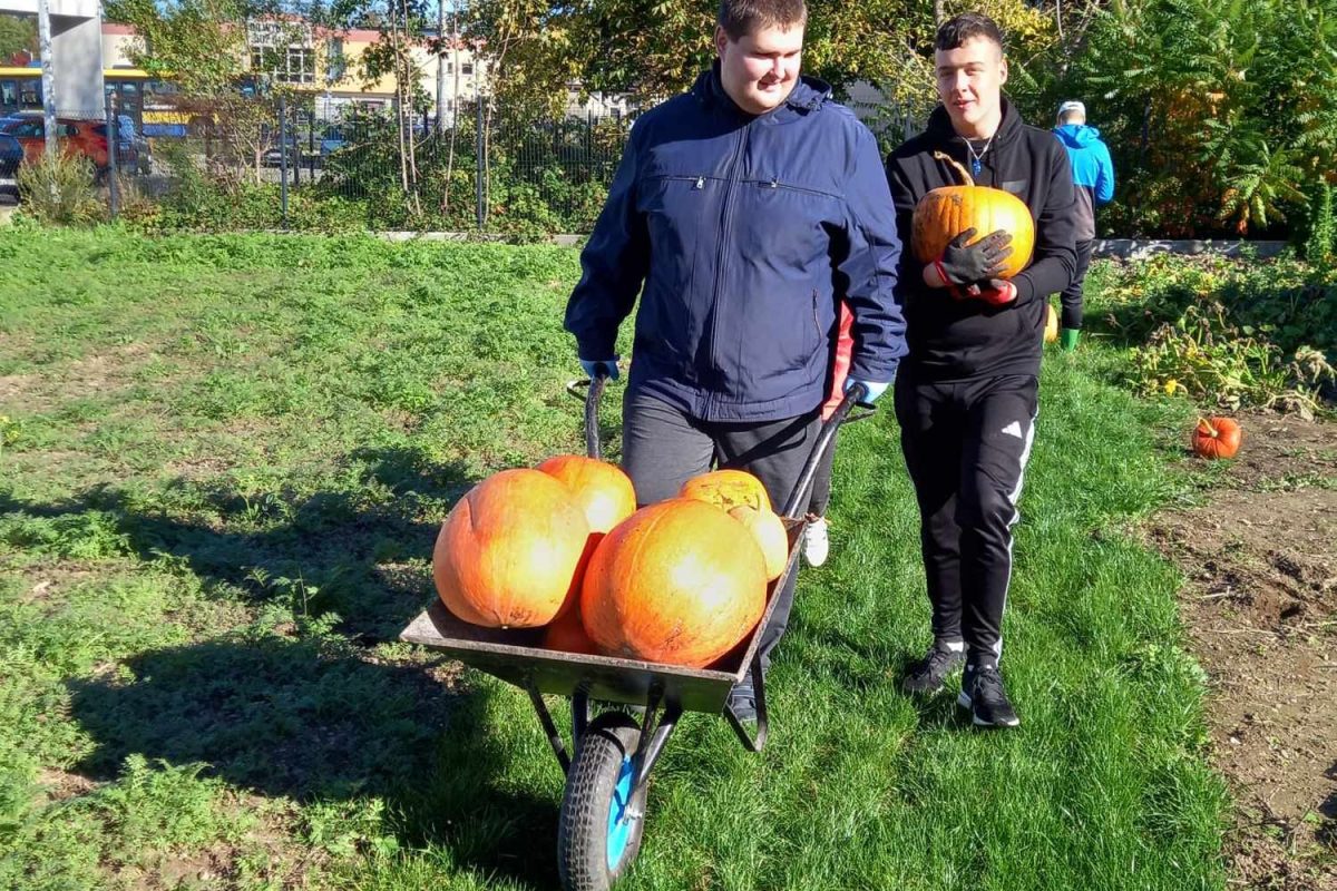 Okrężna1